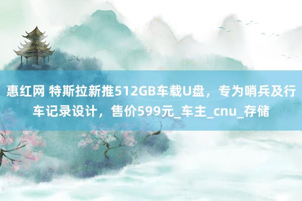 惠红网 特斯拉新推512GB车载U盘，专为哨兵及行车记录设计，售价599元_车主_cnu_存储
