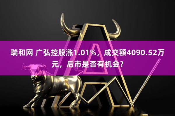 瑞和网 广弘控股涨1.01%，成交额4090.52万元，后市是否有机会？